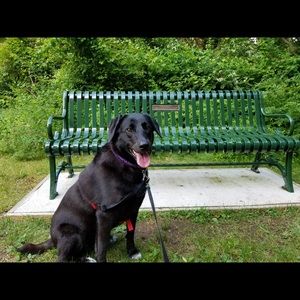 Meet your Posher, Katherine